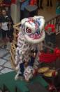 Lion dance at the mall.